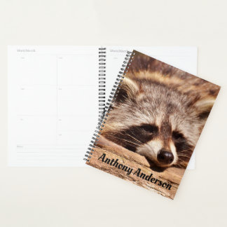 Raccoon Planer