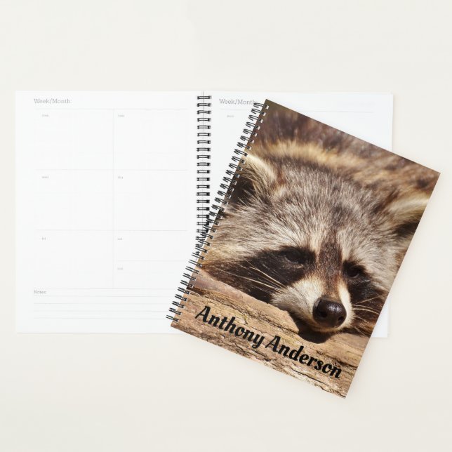Raccoon Planer (Anzeige)