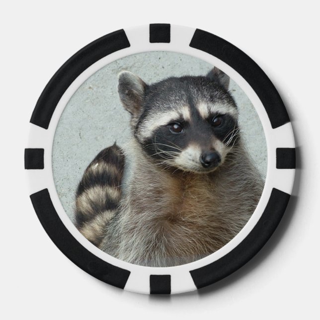 Raccoon Pokerchips (Vorderseite)