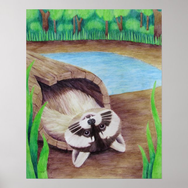 Raccoon Poster (Vorne)