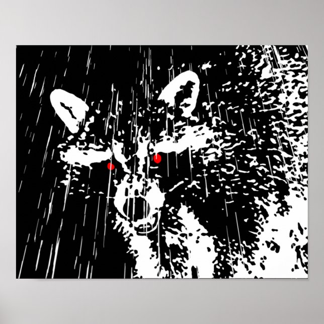 Raccoon Poster (Vorne)
