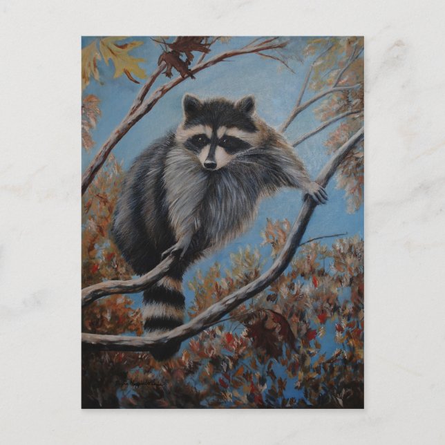 Raccoon Postkarte (Vorderseite)