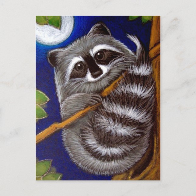 RACCOON Postkarte (Vorderseite)