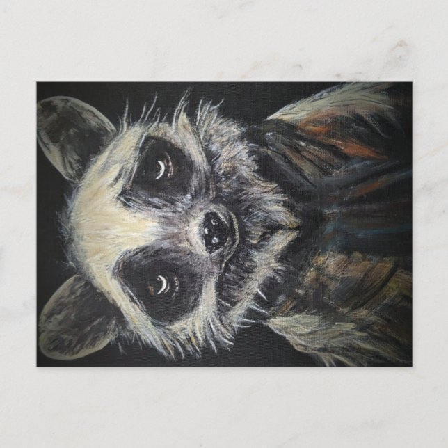 Raccoon Postkarte (Vorderseite)