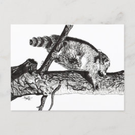 RACCOON POSTKARTE