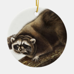 Raccoon (Procyon lotor) Illustration Keramik Ornament