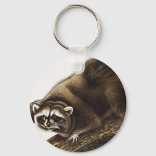 Raccoon (Procyon lotor) Illustration Schlüsselanhänger