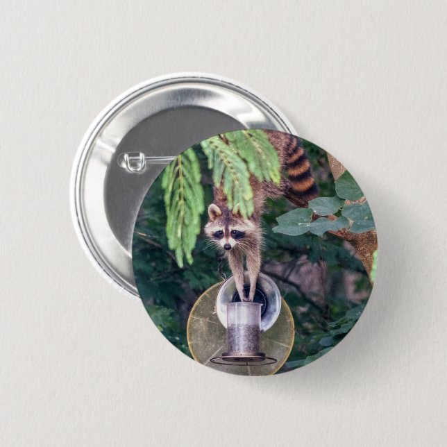 Raccoon Raiding the Bird Feeder Button (Vorne & Hinten)