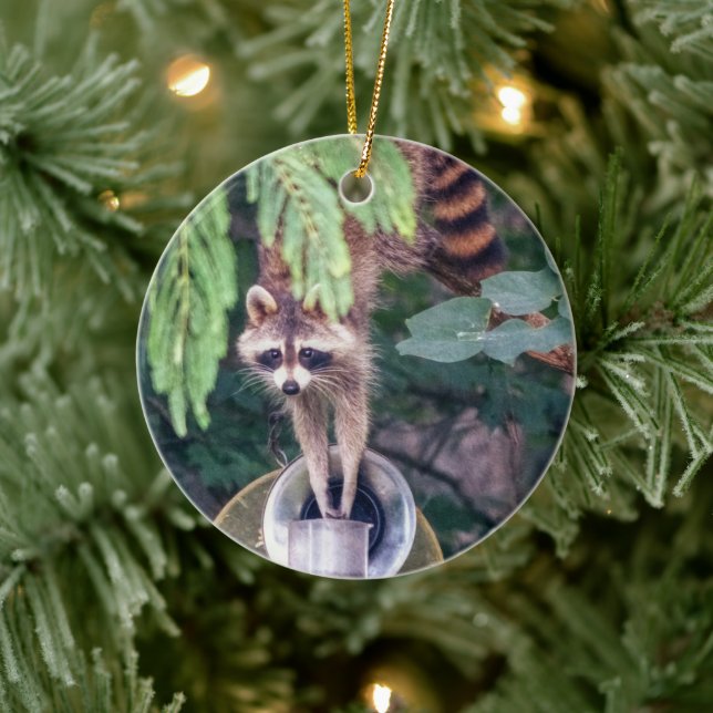 Raccoon Raiding the Bird Feeder Keramik Ornament (Baum)