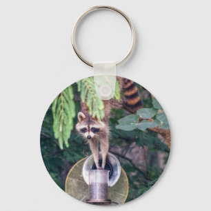 Raccoon Raiding the Bird Feeder Schlüsselanhänger