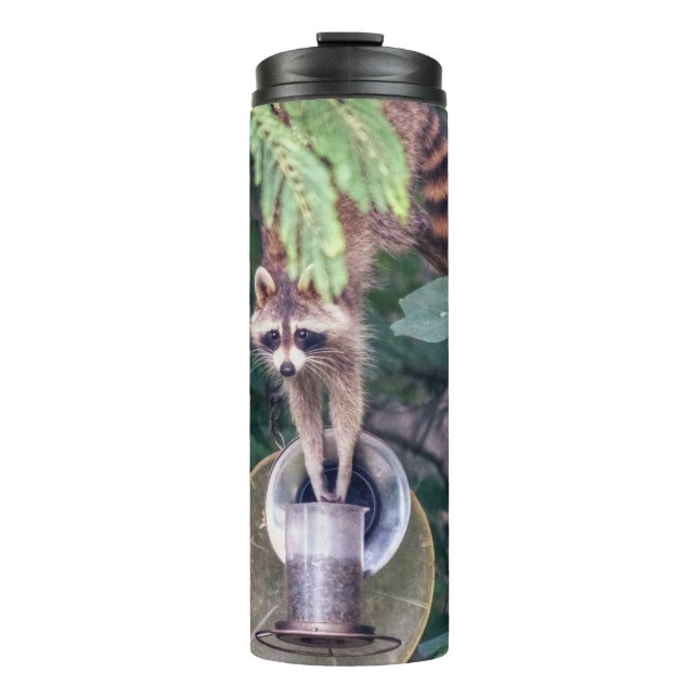 Raccoon Raiding the Bird Feeder Thermosbecher (Vorderseite)