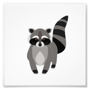 Raccoon Rascal Fotodruck