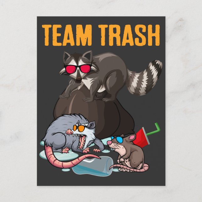 Raccoon Rat Trash Panda Garbage Animal Spaß Postkarte (Vorderseite)