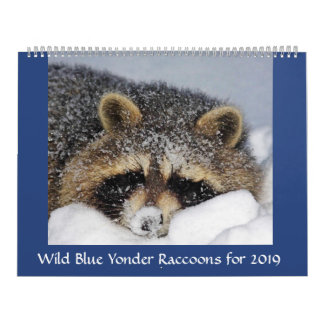 Raccoon Rescue & Release bei Wild Blue Yonder 2019 Kalender