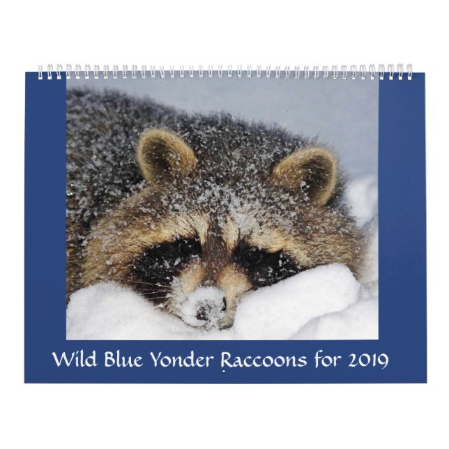 Raccoon Rescue & Release bei Wild Blue Yonder 2019 Kalender (Titelbild)