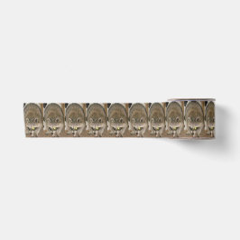 Raccoon Ribbon Satinband
