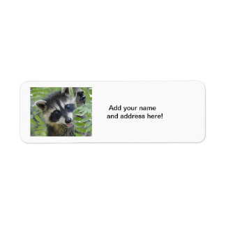 Raccoon-Rücksendeadressen-Aufkleber