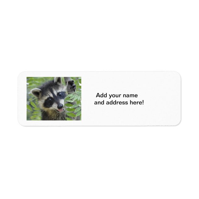 Raccoon-Rücksendeadressen-Aufkleber (Vorne)