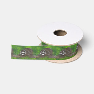 Raccoon Satinband