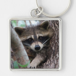 Raccoon Schlüsselanhänger