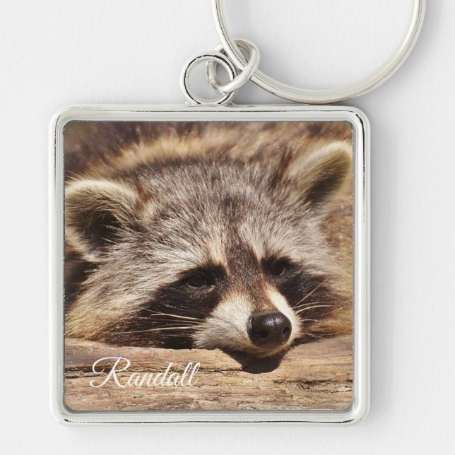 Raccoon Schlüsselanhänger (Vorne)