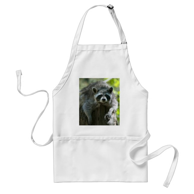 Raccoon Schürze (Vorne)