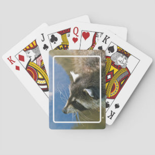 Raccoon Spielkarten