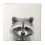 Raccoon-Stift Zeichne Fliese<br><div class="desc">Raccoon-Stift Gezeichnet von Victoria Borges</div>