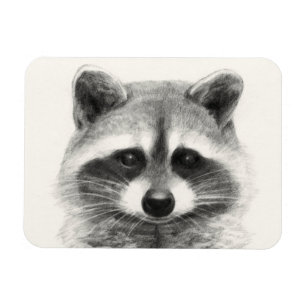 Raccoon-Stift Zeichne Magnet