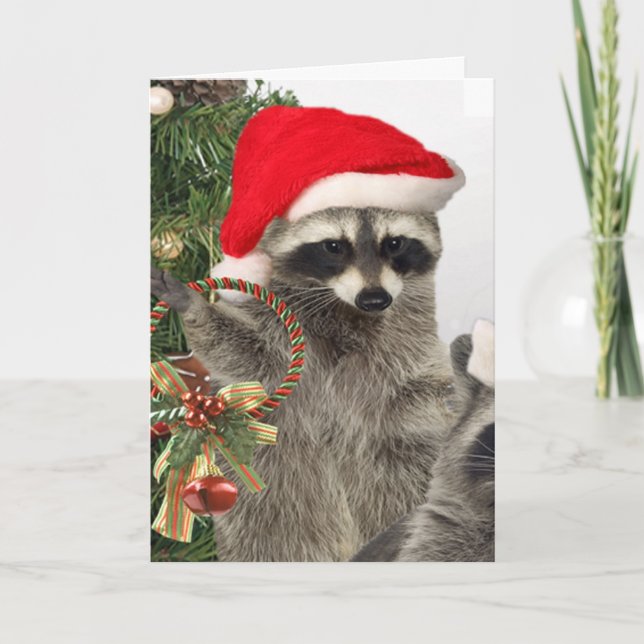 Raccoon Weihnachtsfeier Feiertagskarte (Vorderseite)