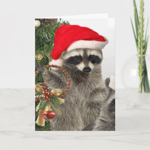 Raccoon Weihnachtsfeier Feiertagskarte
