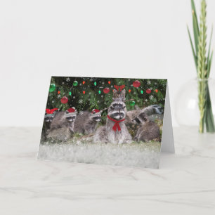 Raccoon-WeihnachtsParty Feiertagskarte