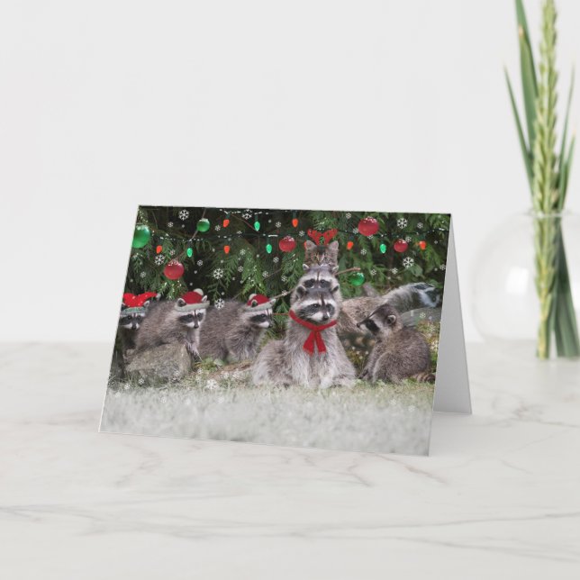 Raccoon-WeihnachtsParty Feiertagskarte (Vorderseite)