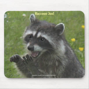 RACCOON WILDLIFE glückliche Mousepads