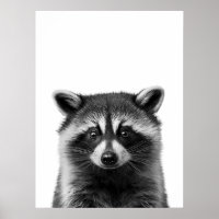 Raccoon Woodland Modernes Portrait Schwarz-weiß
