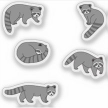 Raccoons