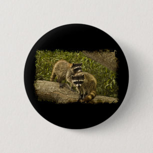 Raccoons Button