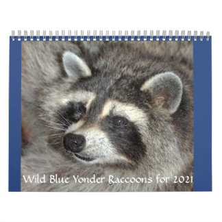 Raccoons de Yonder Bleu sauvage du Calendrier 2021