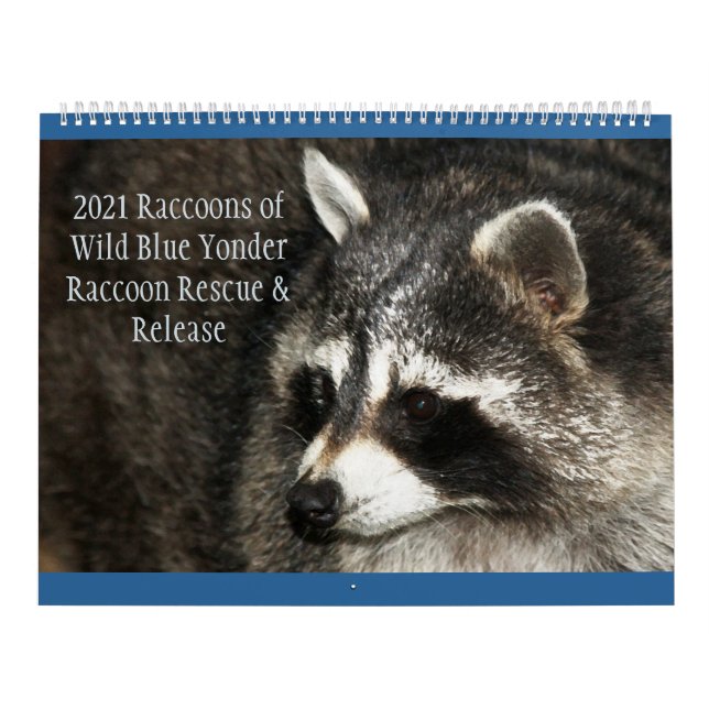 Raccoons of Wild Blue Yonder Kalender (Titelbild)