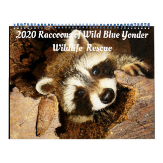 Raccoons of Wild Blue Yonder Wildlife Rescue Kalender