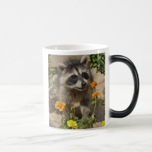 Raccooon - verwandelnde Tasse