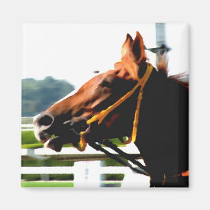 Race Horse Magnet