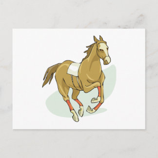 Racehorse Silks Pferderennbahnen Gallps Rassen Postkarte