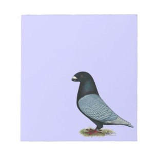 Racer Andalusien anzeigen Notizblock