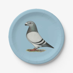Racer Blue Bar Pigeon anzeigen Pappteller