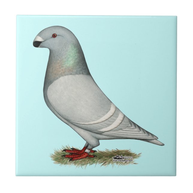 Racer Concept Hen anzeigen Fliese (Vorderseite)