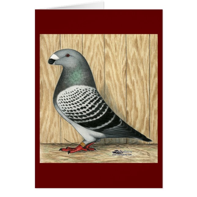 Racer Medium Schachbrett anzeigen (Vorne)