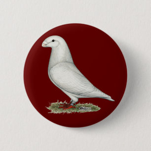 Racer White anzeigen Button