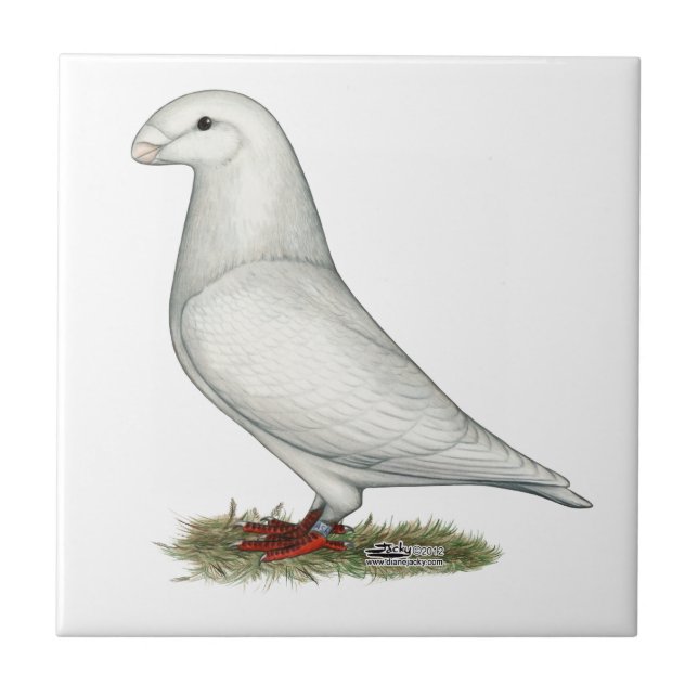 Racer White anzeigen Fliese (Vorderseite)