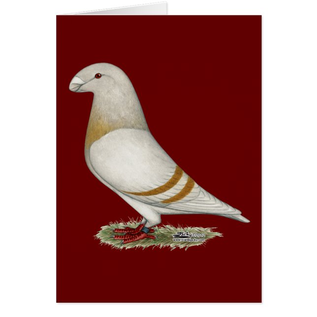 Racer Yellow Bar (Vorne)